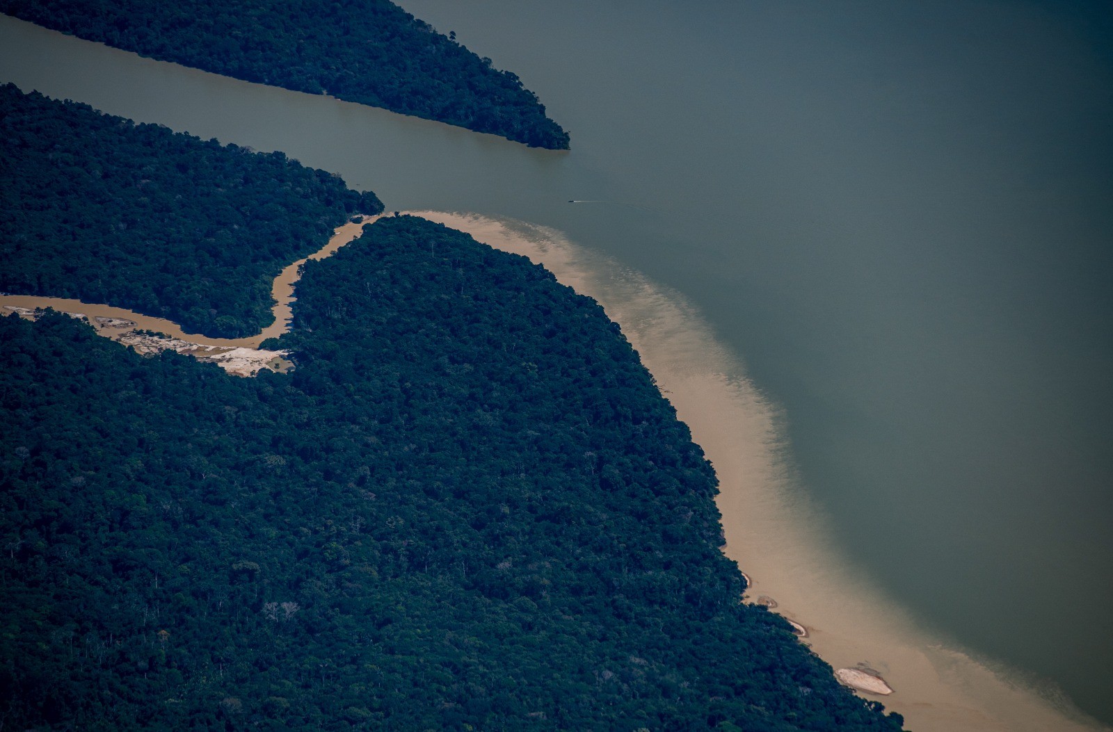 Pesquisadores lançam, em Belém, instituto para combater contaminação por mercúrio na Amazônia
