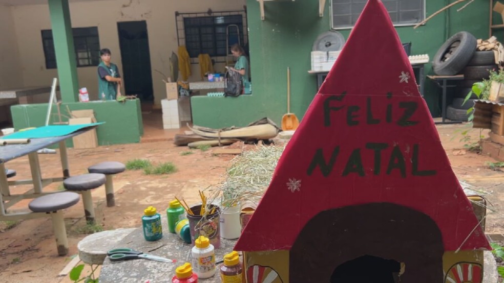 Animais ganham presente de Natal adiantado no Zoo em Rio Preto (SP) — Foto: Reprodução/TV TEM