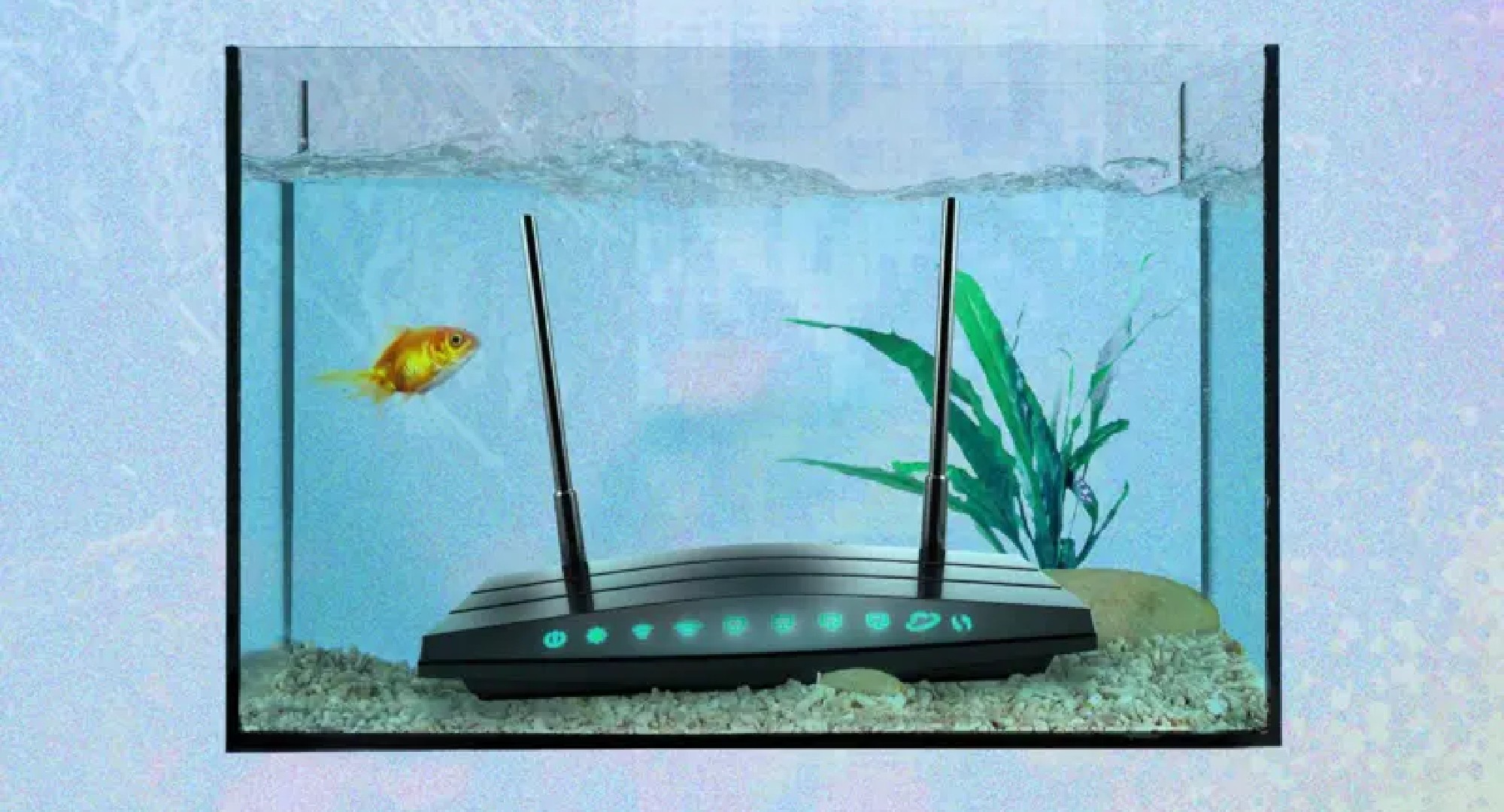 As coisas mais estranhas que podem piorar o sinal de wi-fi da sua casa