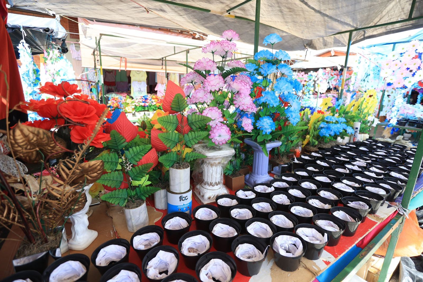 Confira os horários das Feiras de Flores e Finados em Caruaru e Bezerros 