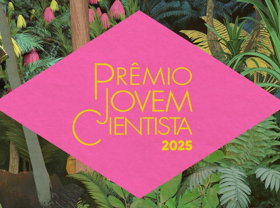 Prêmio Jovem Cientista 2025 — Foto: Reprodução
