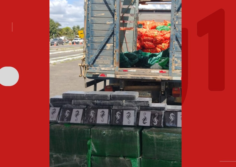 Motorista é preso suspeito de transportar cerca de 500 kg de cocaína em caminhão carregado de cebolas — Foto: Polícia Rodoviária Estadual (PRE-BA)
