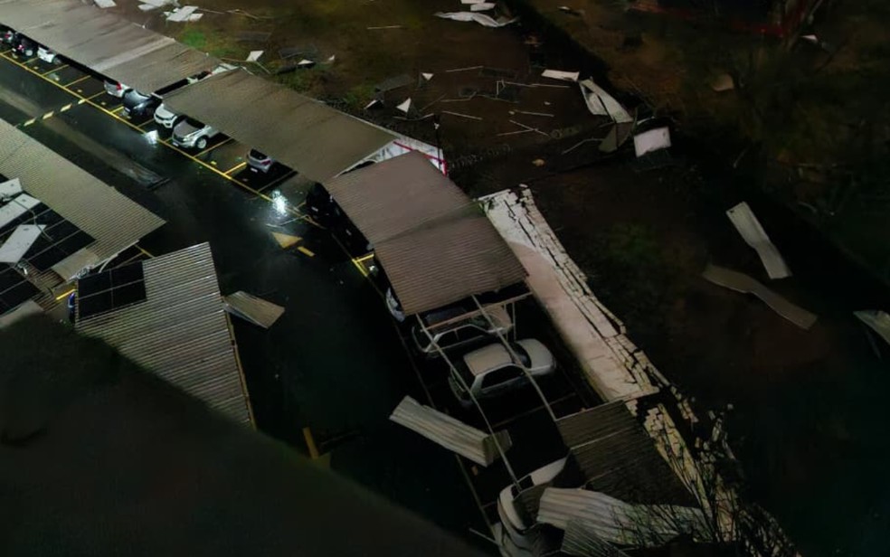 Carro fica escorado em árvore tombada em condomínio na Vila Virgínia, Zona Oeste de Ribeirão Preto, SP — Foto: Redes sociais