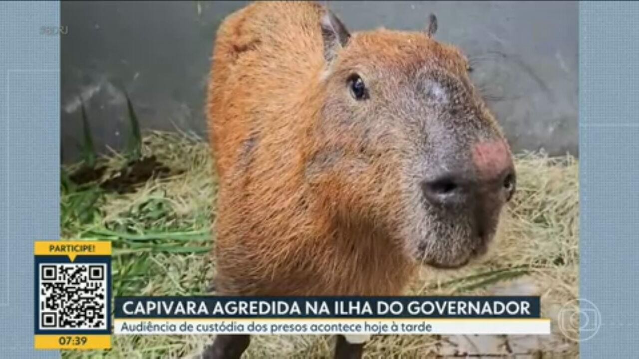 Menores são internados provisoriamente após ataque