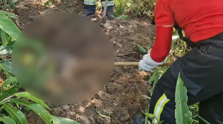 Corpo é encontrado em São Miguel dos Milagres e polícia investiga possível homicídio