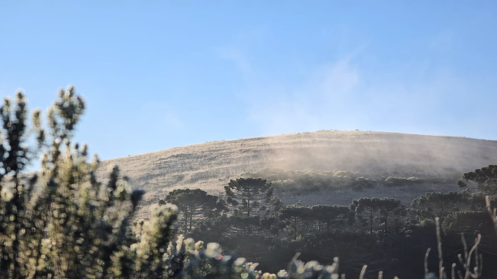 SC registra -3°C na capital nacional do frio, tem geada e temperaturas negativas em 13 cidades; veja fotos