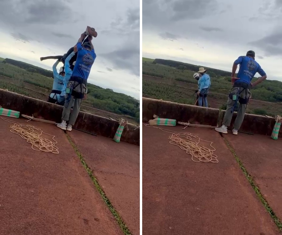 'Gente, a corda': vídeo registra reação após jovem ser lançada sem equipamento em salto de rope jump