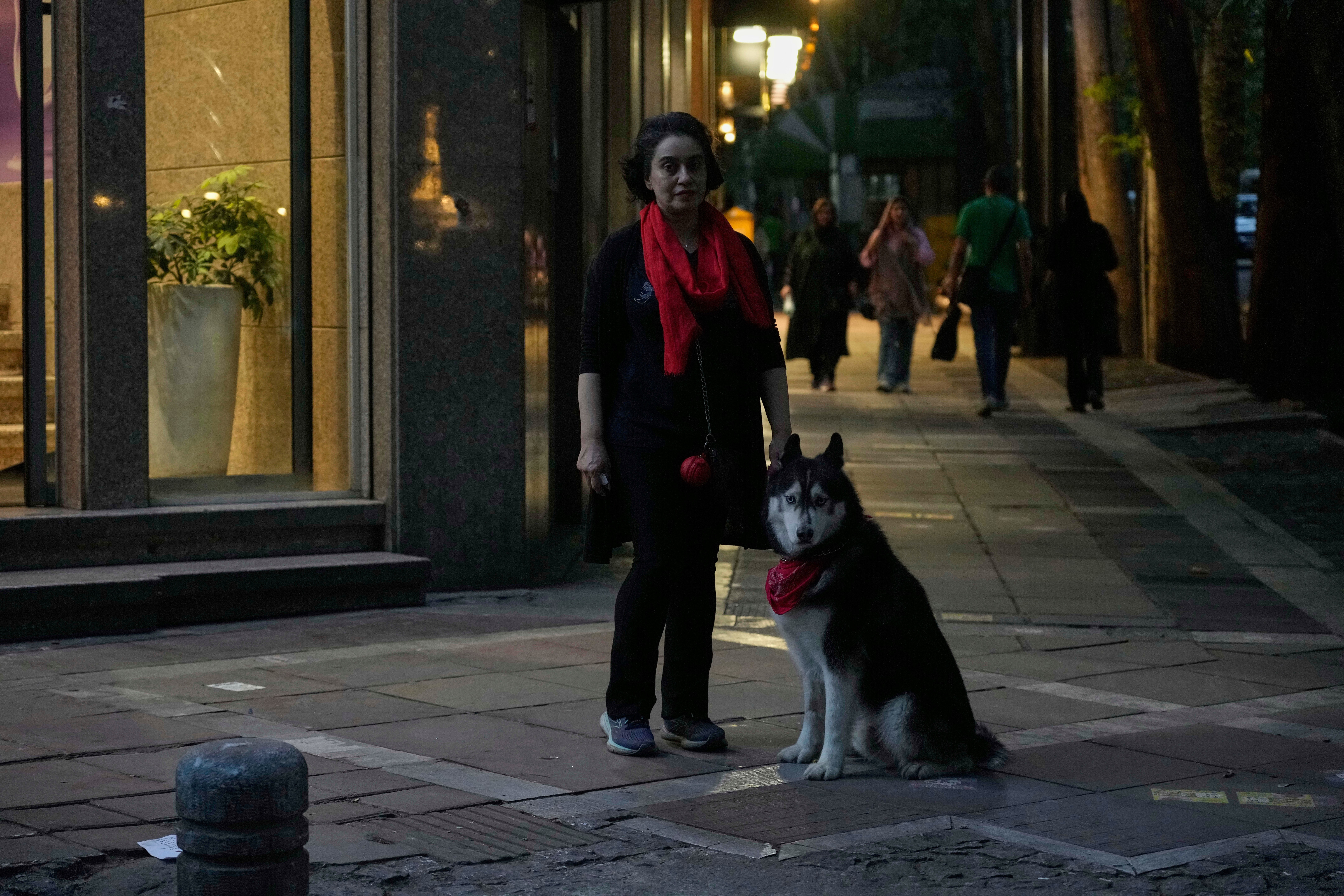 Irã amplia proibição de passeios com cães em público em várias cidades