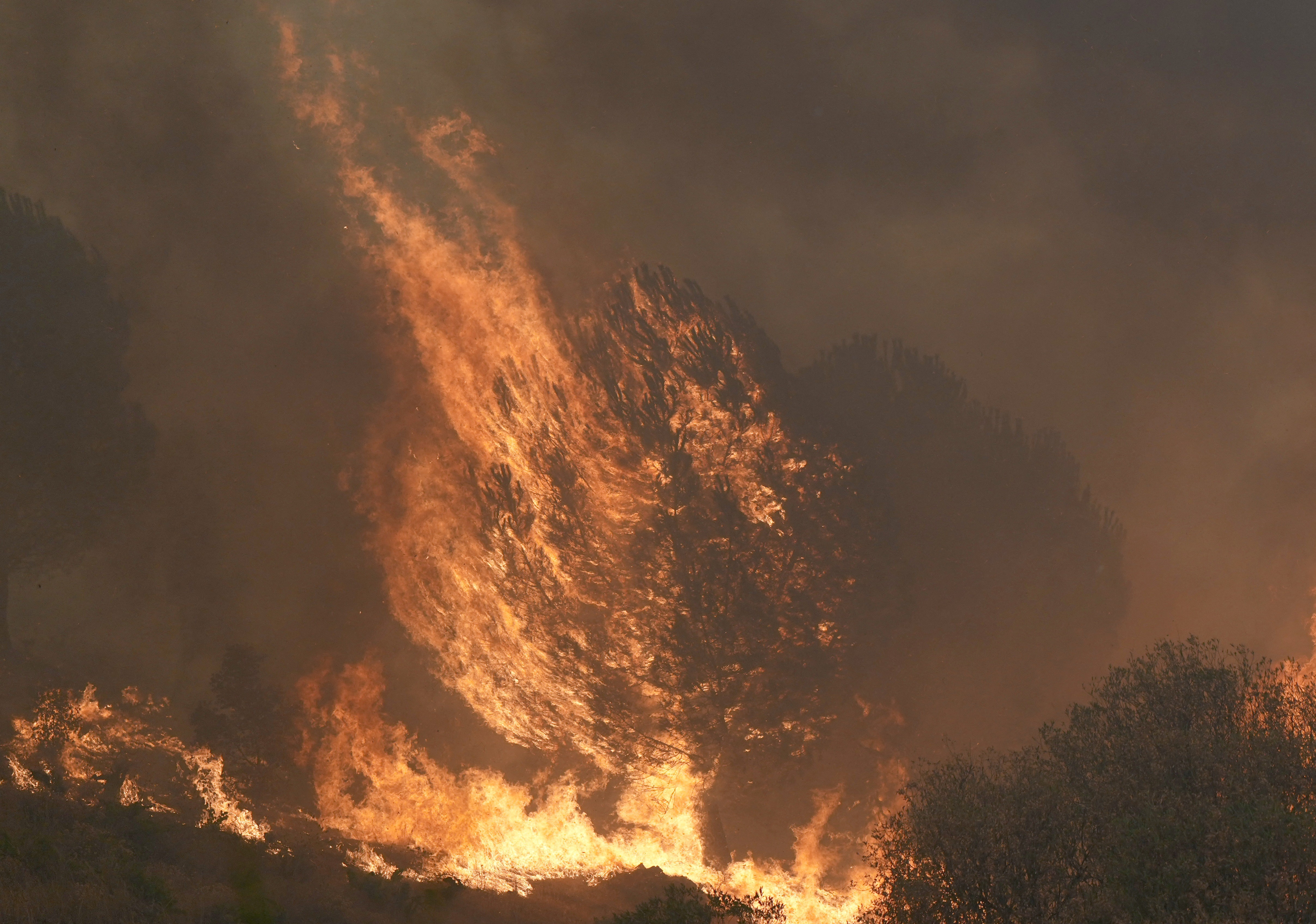 Incêndio florestal nos arredores de Madri está 'fora de capacidade de extinção', dizem bombeiros; centro da Nasa na Espanha é esvaziado