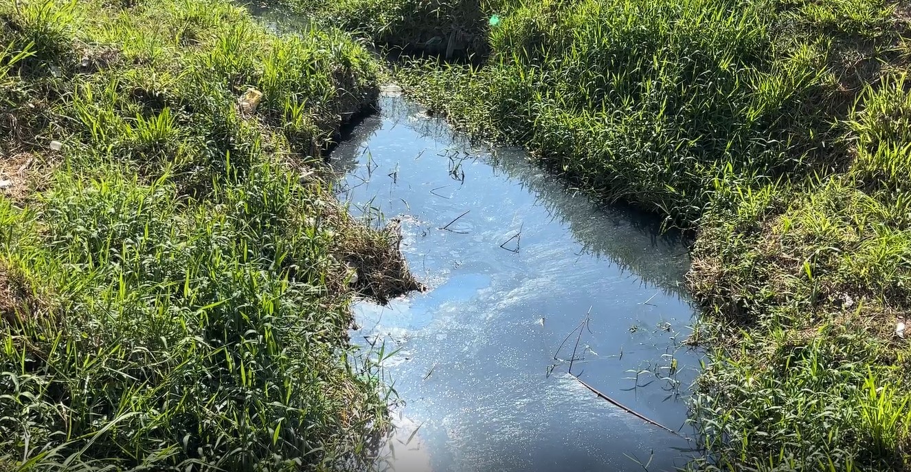 Moradores reclamam de cheiro de esgoto vindo de córrego em Campinas