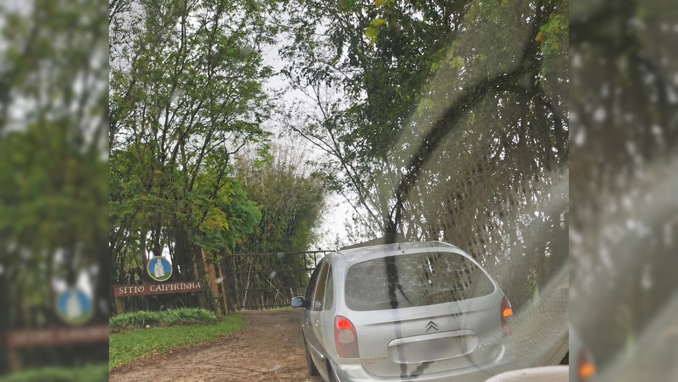 2 de 3
O caso teve in&iacute;cio ap&oacute;s o Departamento de Prote&ccedil;&atilde;o Animal da Prefeitura receber uma den&uacute;ncia de abandono perto do S&iacute;tio Caipirinha &mdash; Foto: Pol&iacute;cia Civil