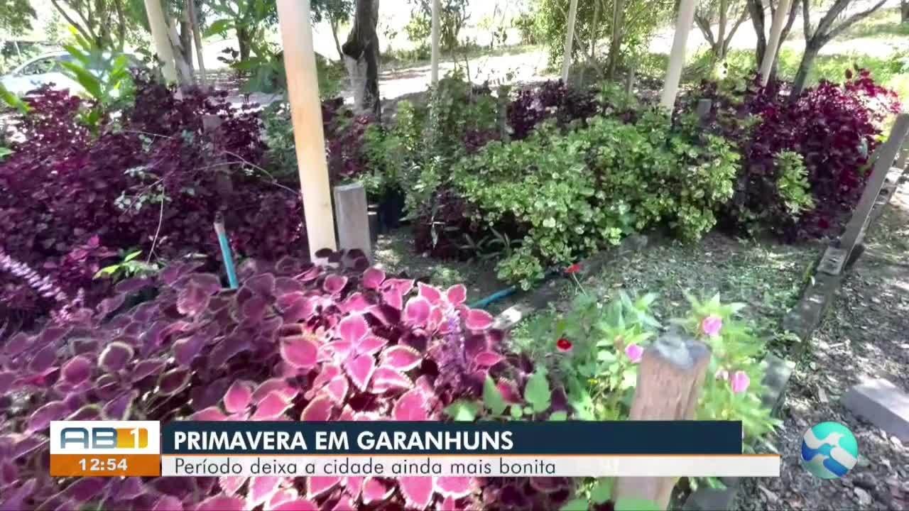 VÍDEOS: AB1 de terça-feira, 31 de outubro de 2023