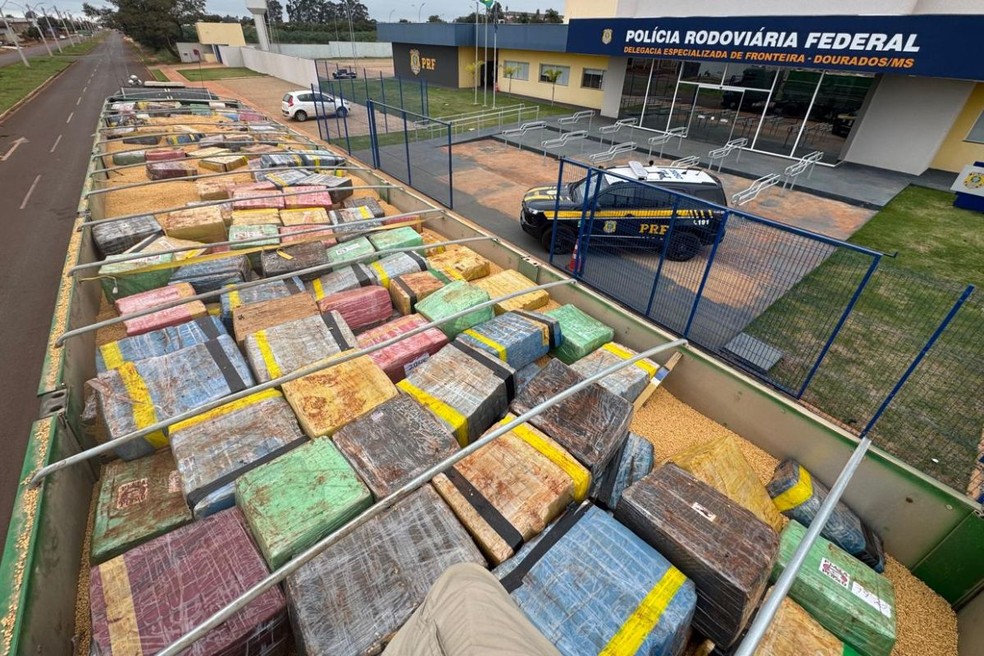 PRF apreendeu mais de 6 toneladas de maconha em MS — Foto: PRF