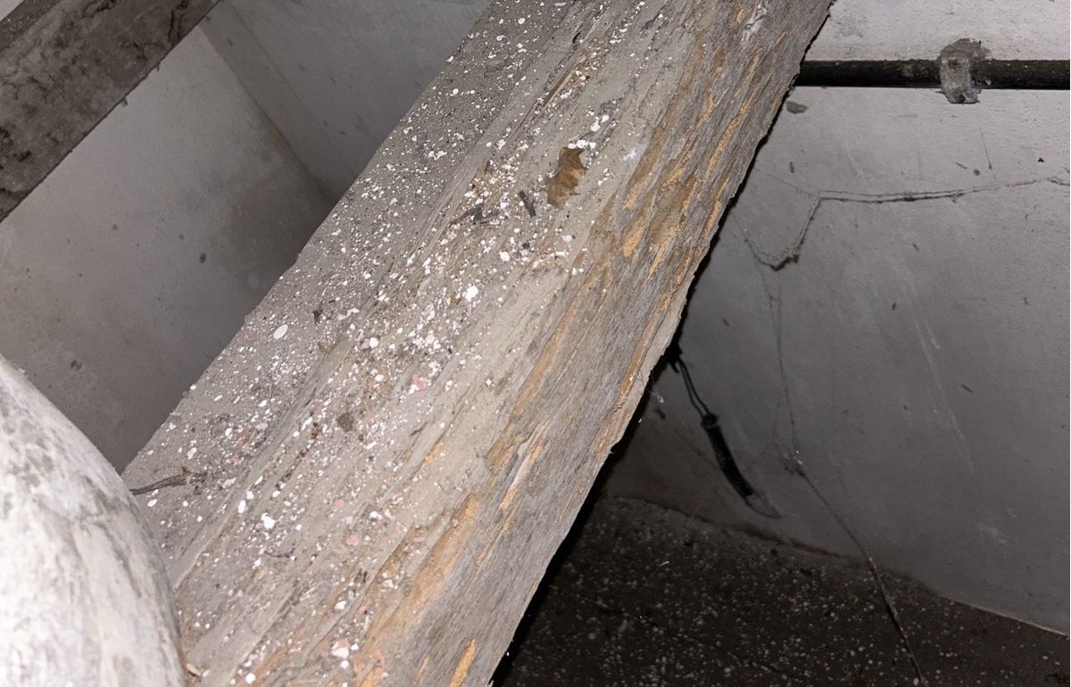 MPF abre inquérito para investigar  risco de teto do Mercado da Ribeira de Olinda desabar 