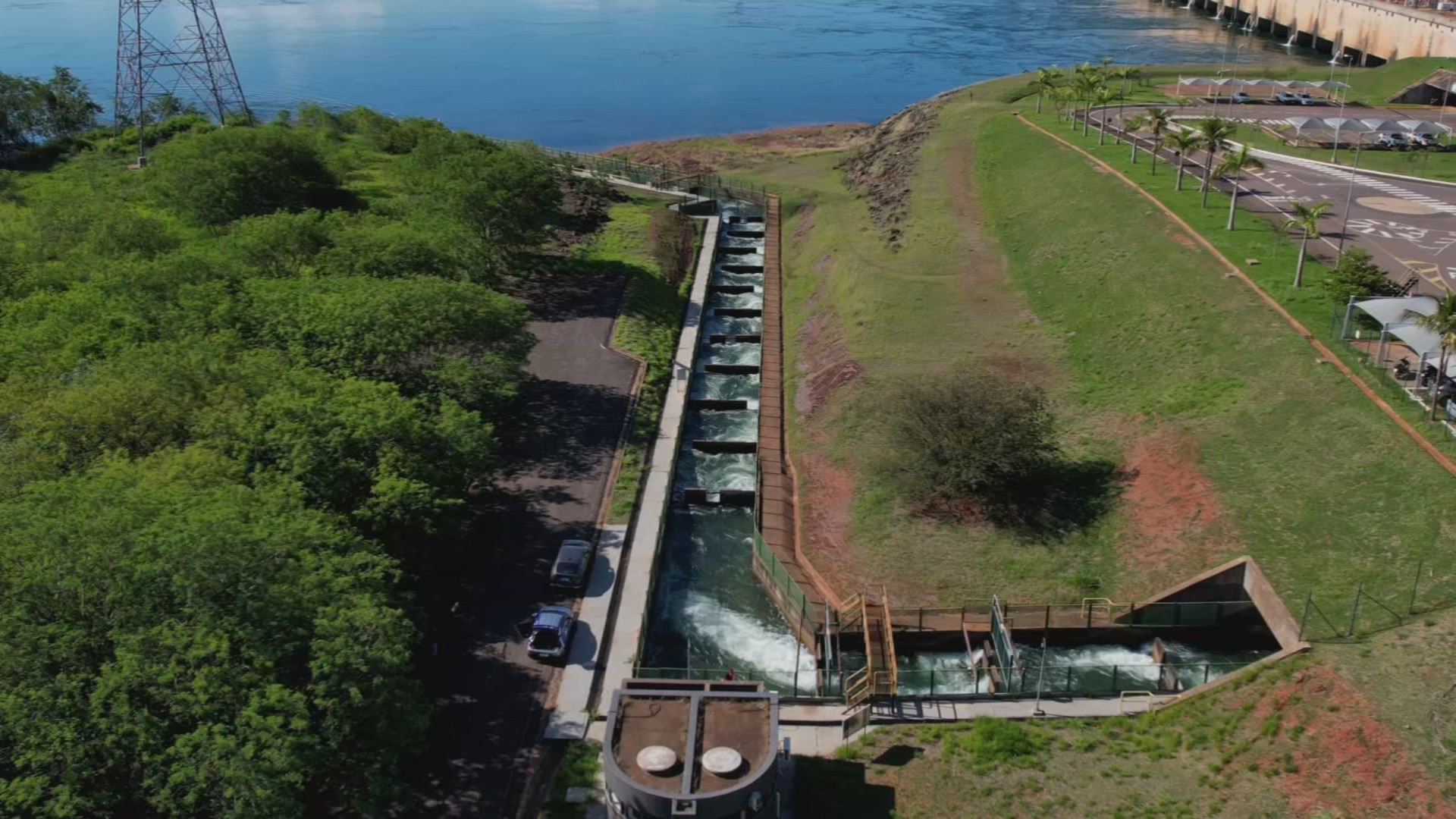 Cardumes são monitorados durante a piracema no Rio Paraná