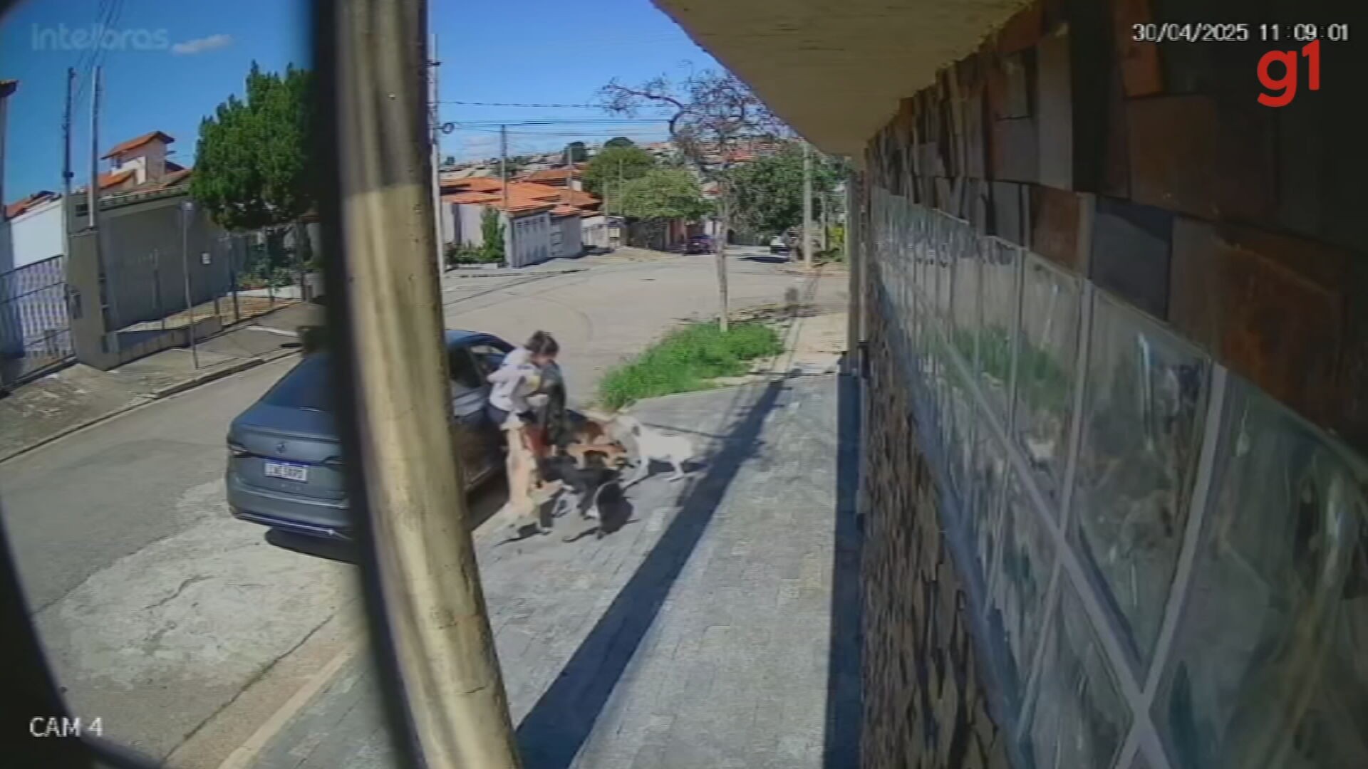 Câmeras flagram ataques de cães a moradores em Sorocaba; idosa ficou ferida