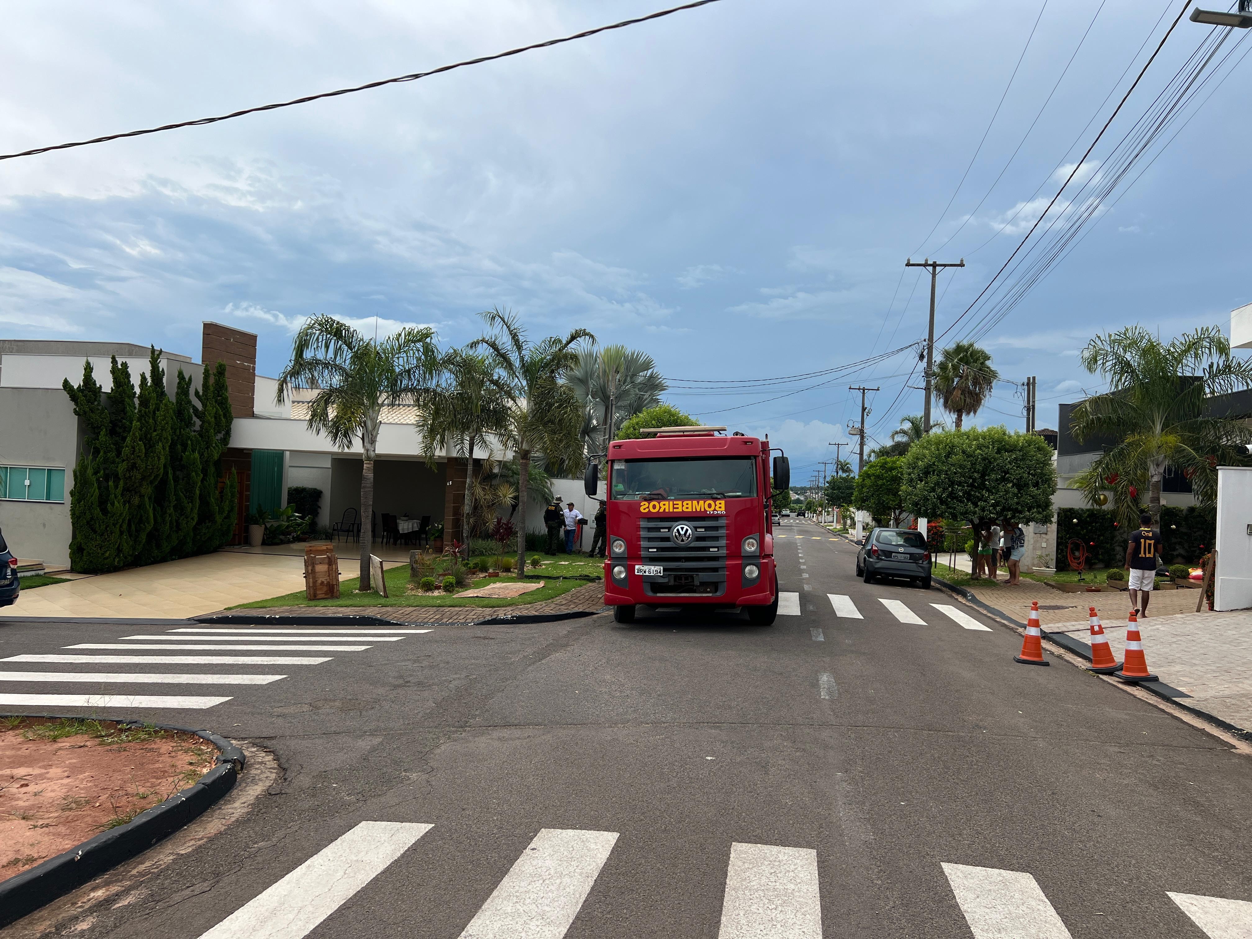 Onça parda vai parar no quintal casa no Paraná e Corpo de Bombeiros tenta capturar animal