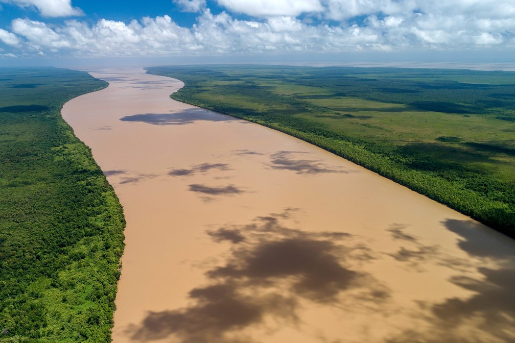 Biodiversidade costeira que pode ser impactada pela exploração de petróleo no Amapá — Foto: Parque Nacional do Cabo Orange/Divulgação