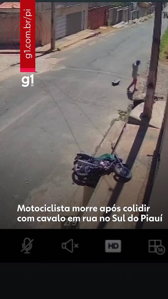 Motociclista morre após colidir com cavalo em rua no Sul do Piauí