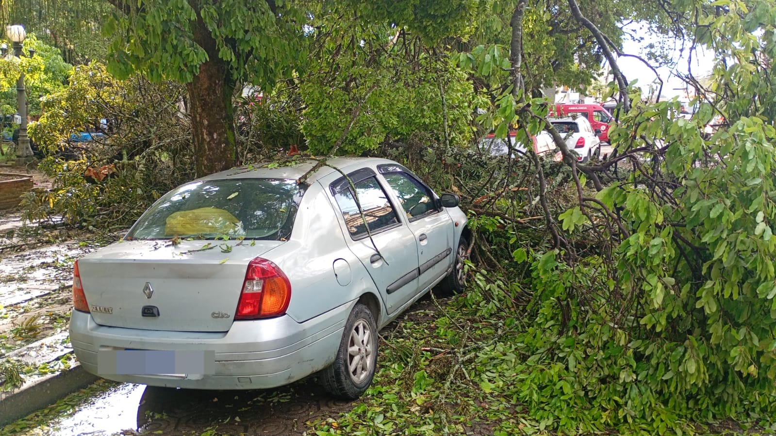 Árvore cai em cima de dois carros durante temporal em Valença