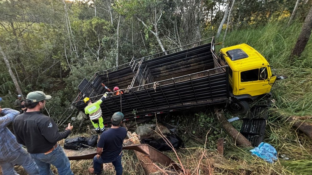 Caminhão gaiola com cavalos despenca em ribanceira e deixa dois animais mortos na BR-365 em MG