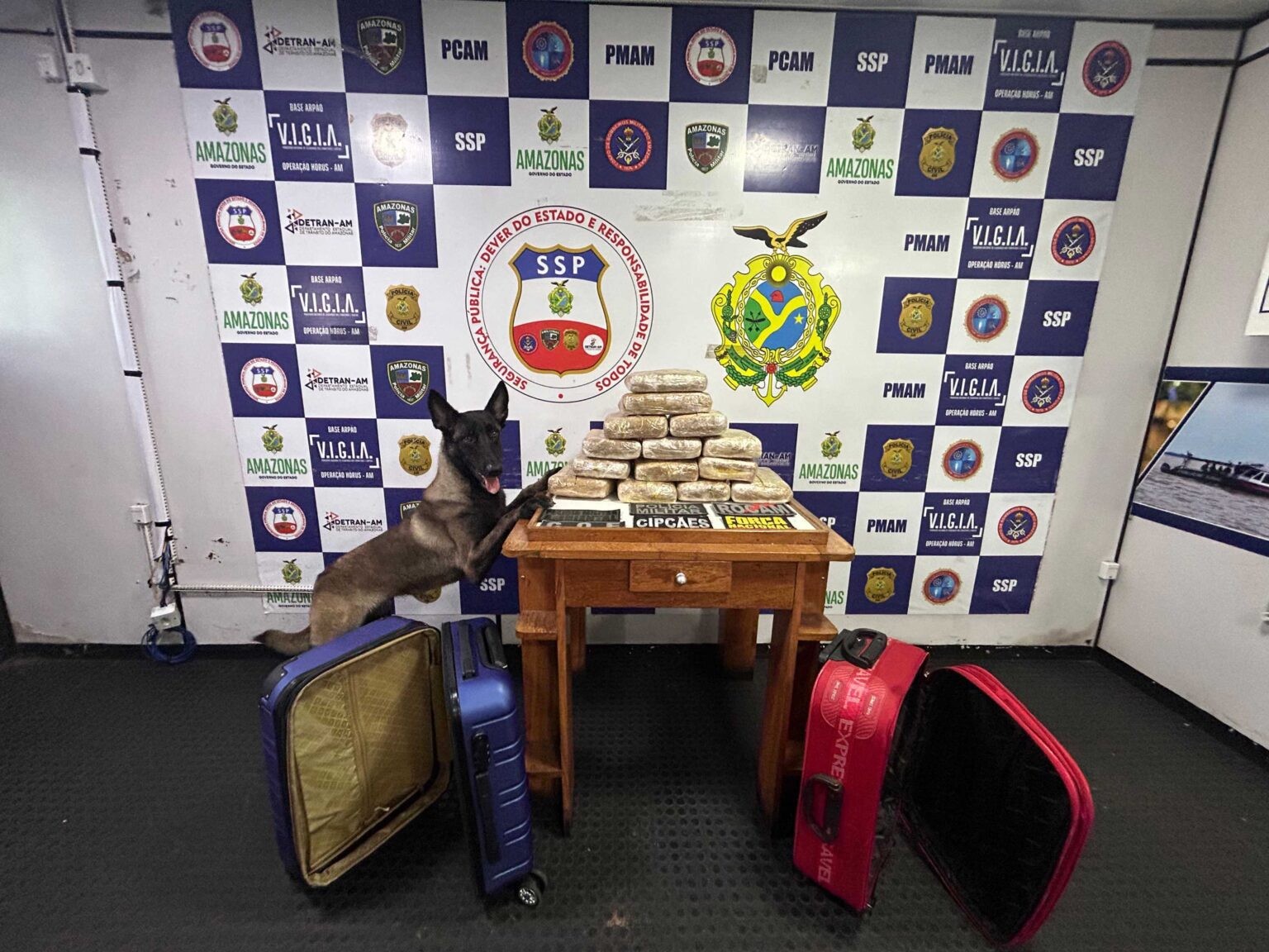 Base Arpão apreende mais de 16 kg de skunk no interior do AM