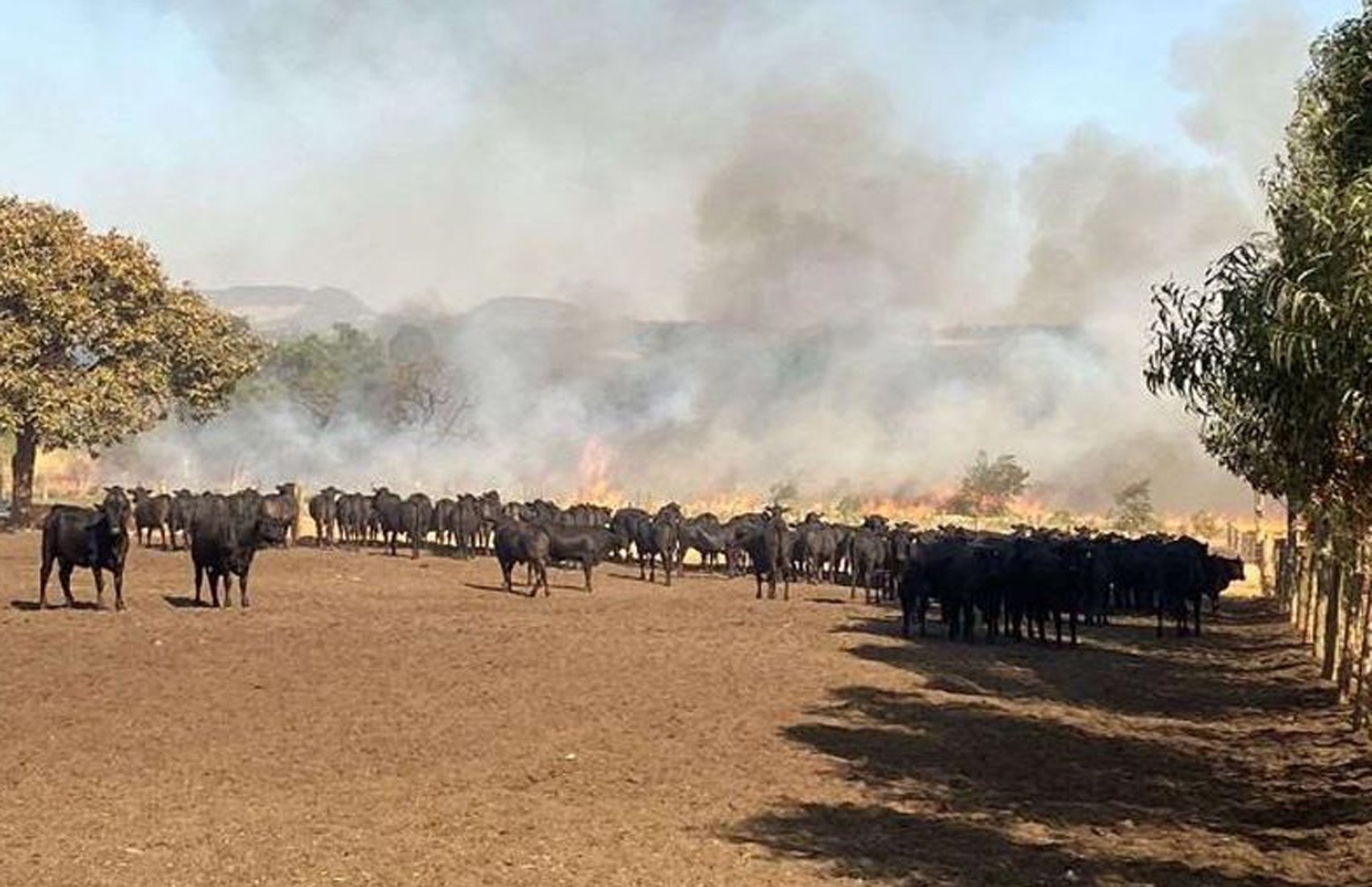 Justiça manda prender e bloqueia R$ 3 milhões de suspeito de causar incêndios na região de Franca 