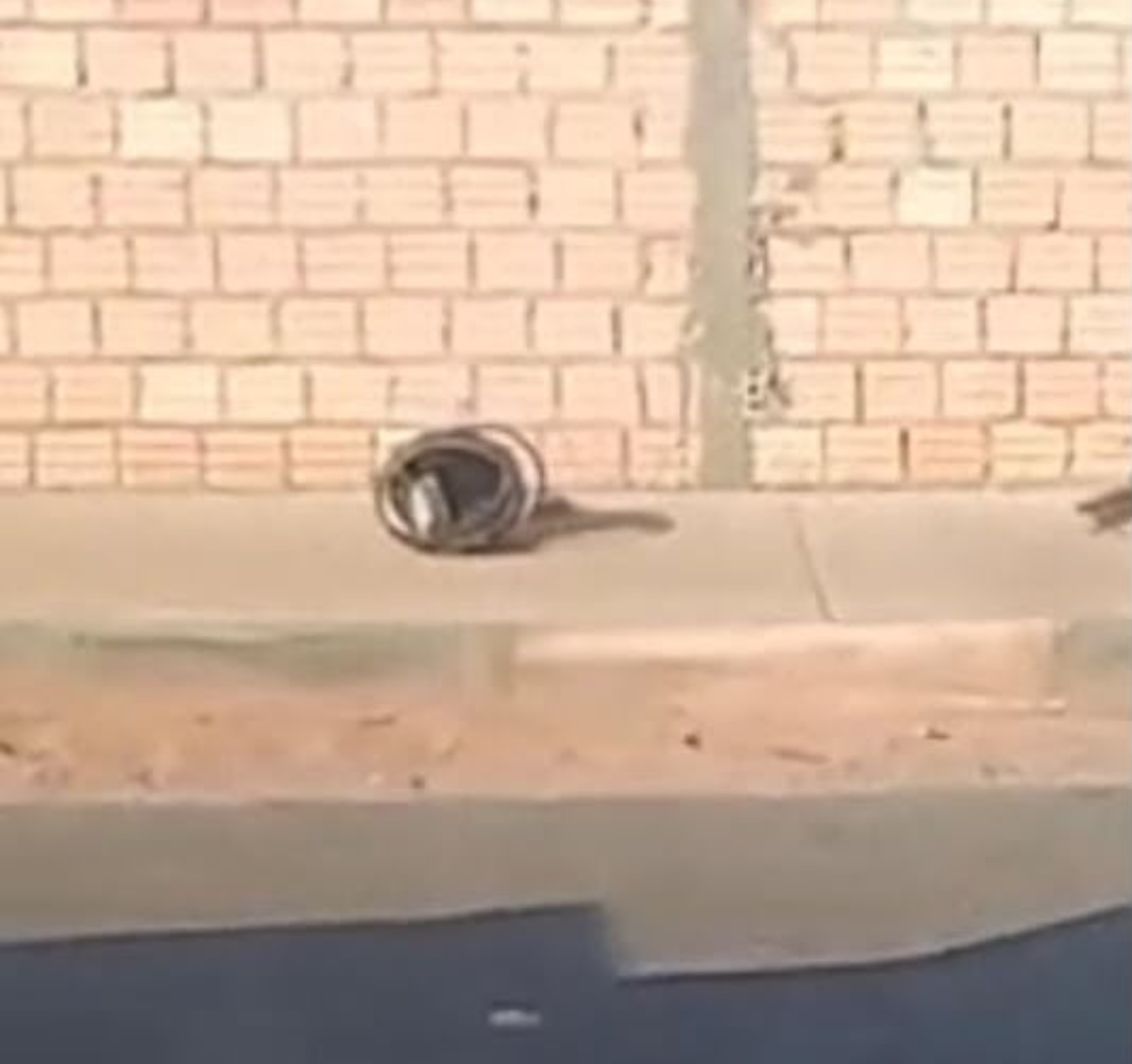 Motociclista morre após bater em poste em Boa Vista