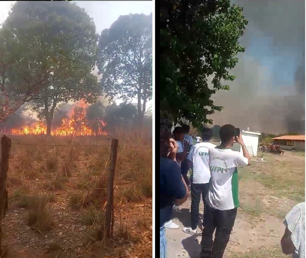 Incêndio atinge vegetação em terreno da UFPI e aulas são canceladas — Foto: Reprodução