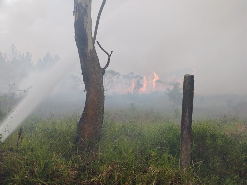 Rodovia em SC foi parcialmente interditada por causa de incêndio florestal — Foto: Corpo de Bombeiros/ Divulgação