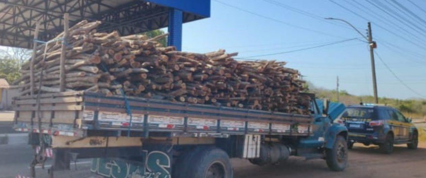 Mais de 11 m³ de madeira nativa são apreendidos sem licença na BR-343, no Piauí