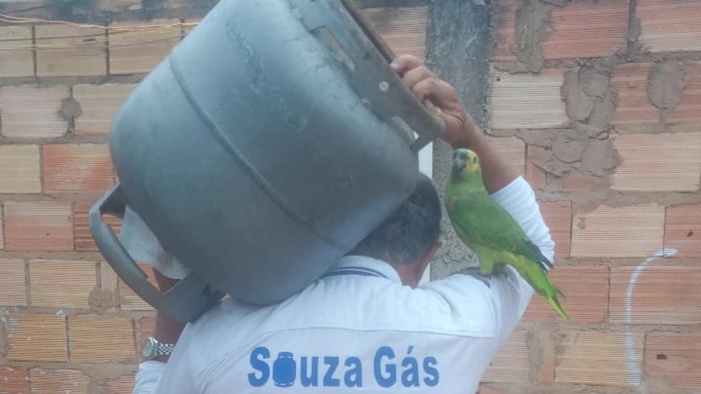 Papagaio no ombro de Milton — Foto: Reprodução/Redes Sociais