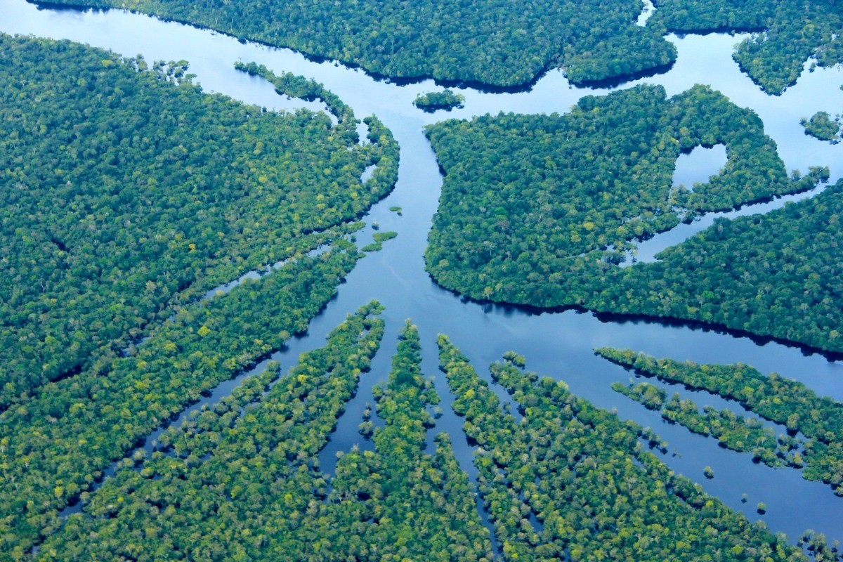 Amazonas registra menor taxa de desmatamento desde 2017, aponta Prodes