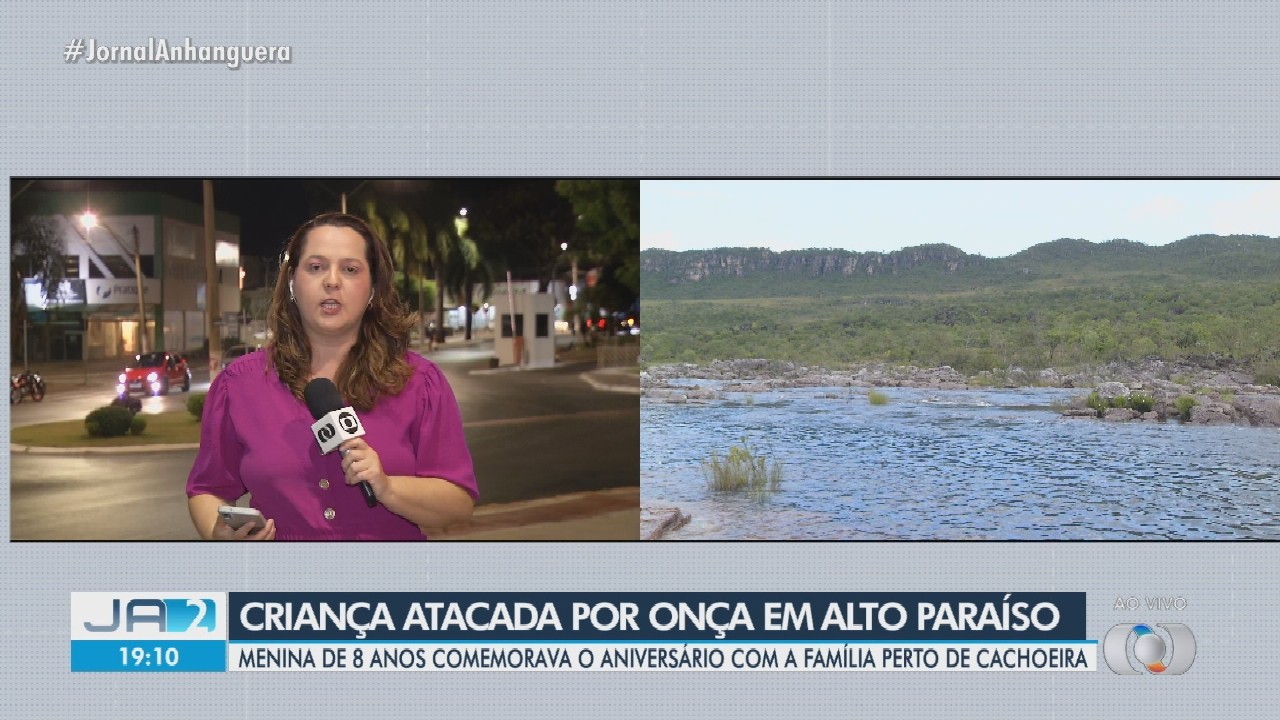 Menina de 8 anos é atacada por onça durante aniversário próximo a cachoeira, na Chapada dos Veadeiros