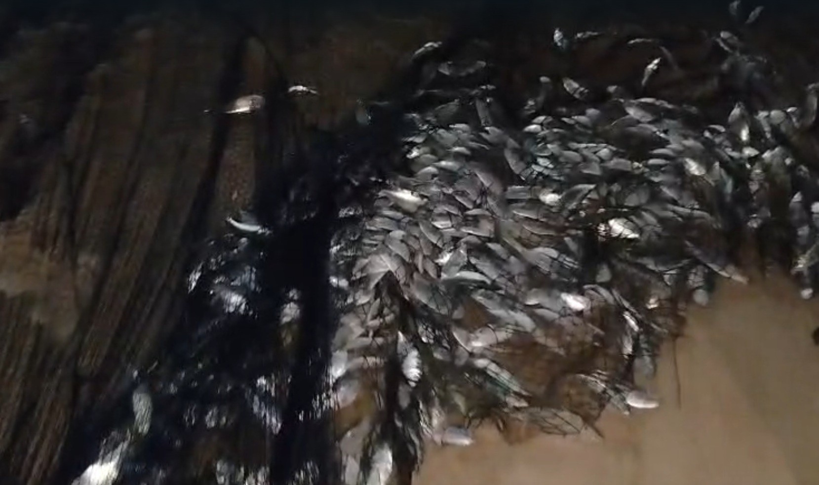 Pescadores de Cabo Frio realizam grande pescaria e chamam atenção de moradores