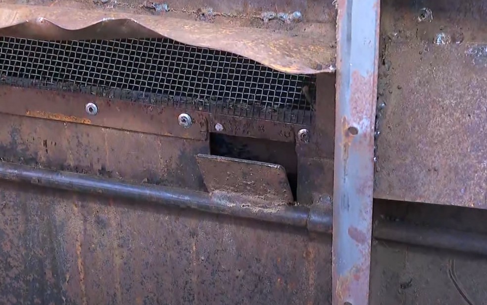 Polícia Civil indicia cinco pessoas por esquema de furto de café em São Sebastião do Paraíso — Foto: Reprodução EPTV