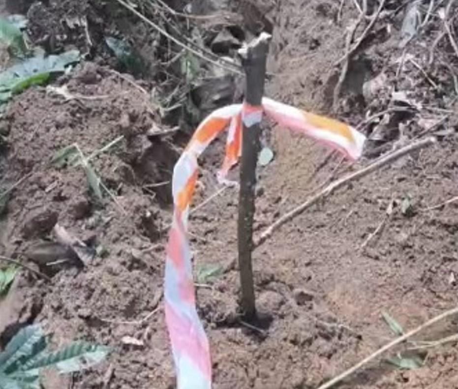 Cemitério clandestino com mais de 10 ossadas é encontrado na Zona Sul de SP