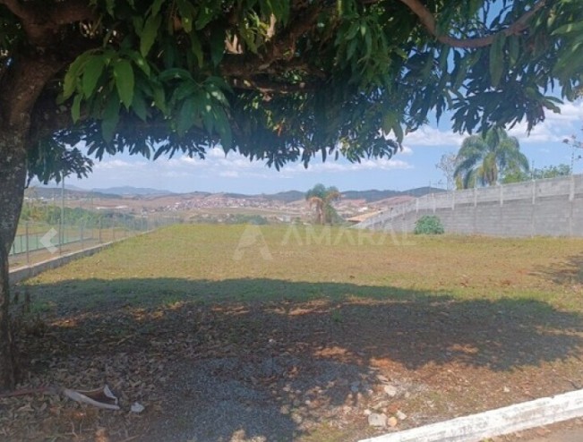 Taubaté: 16 lotes de terrenos da prefeitura são leiloados por R$ 3,8 milhões 