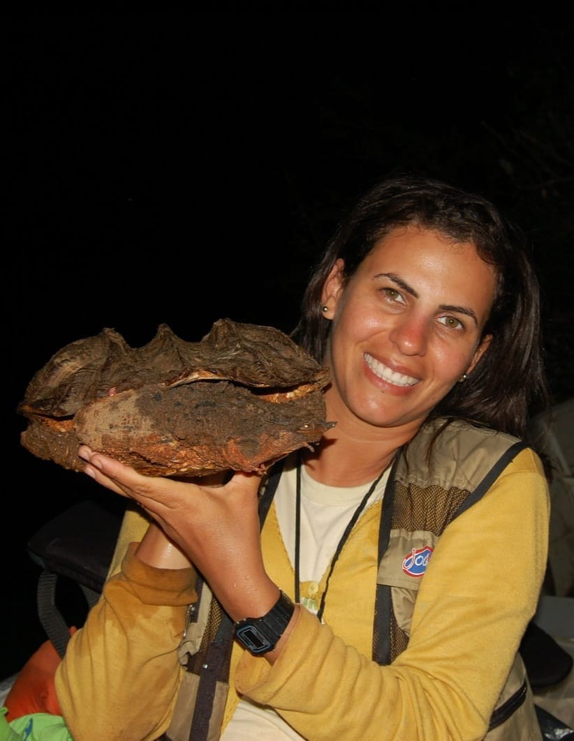 Pesquisadores lançam livro sobre quelônios continentais e crocodilianos do Brasil