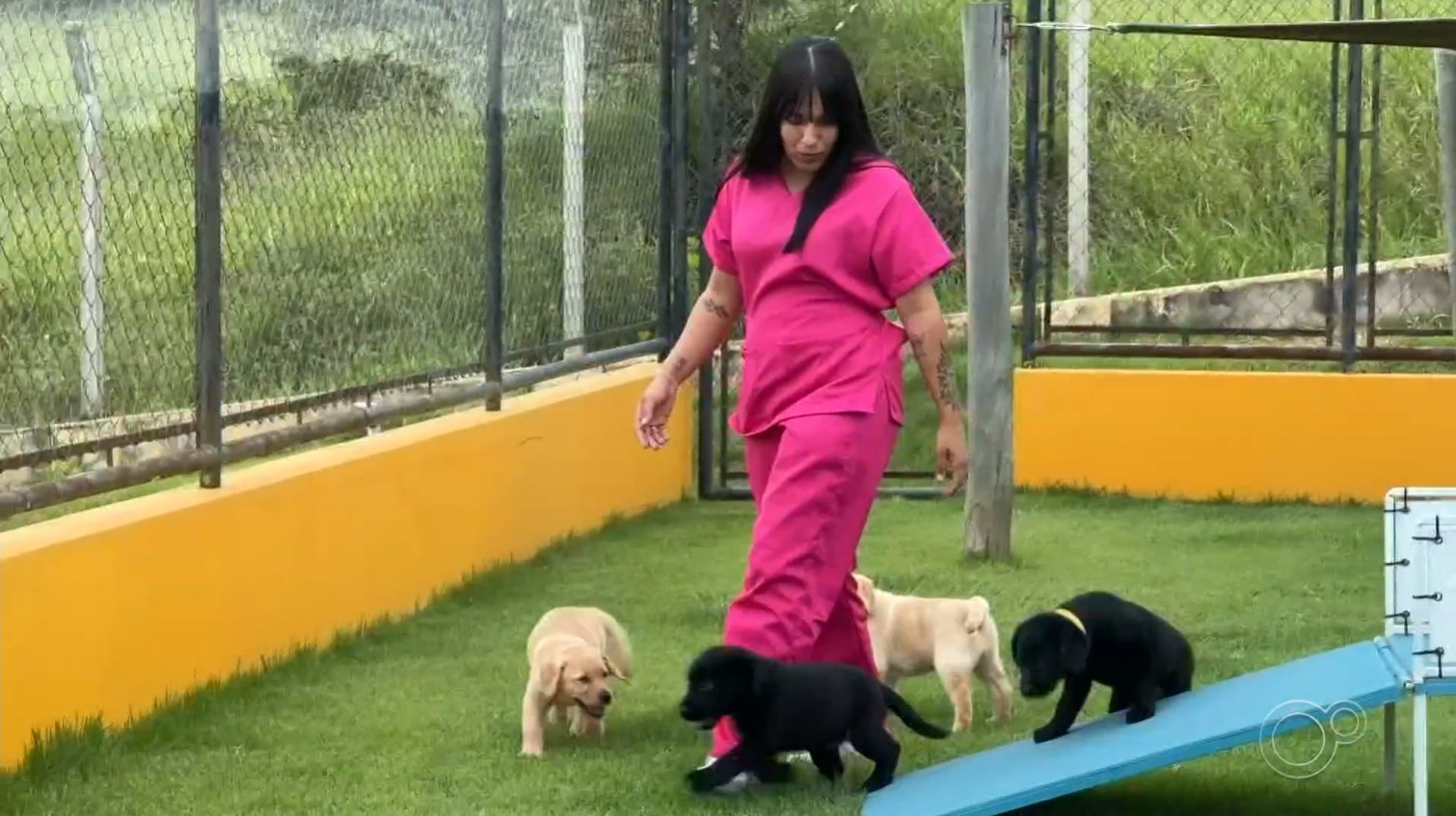 Passou na TV: veja informações adicionais das reportagens da TV TEM Sorocaba e Itapetininga em fevereiro