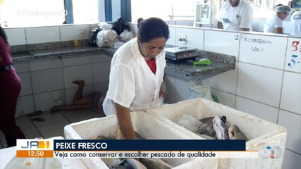 Como evitar riscos na compra de peixes; engenheiro de pesca explica
