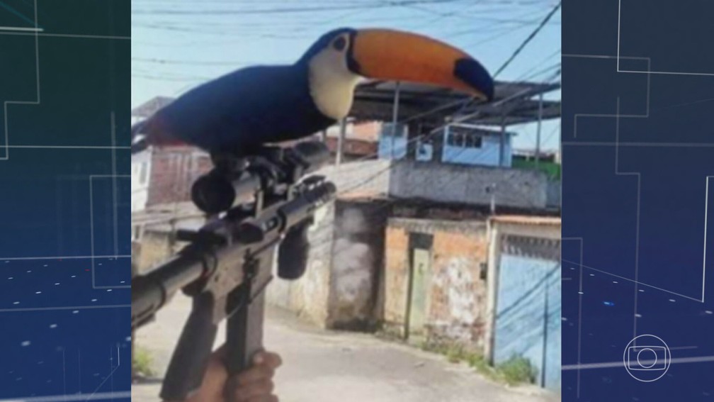 Animais também são usados por grupos criminosos para ostentar armas e munições pesadas. — Foto: JN