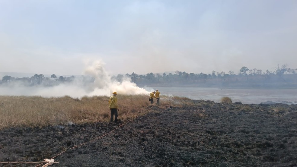 Brigadistas apagando o fogo às margens da Lagoa da Serra — Foto: Divulgação/Ascom CBMTO