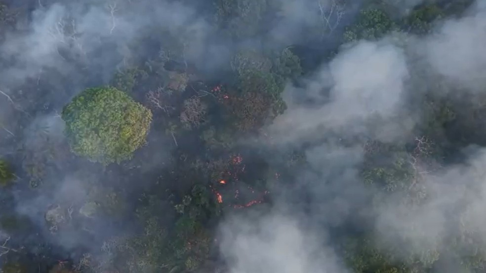 Incêndio florestal atinge trecho da BR-319 e mobiliza bombeiros há três dias — Foto: Divulgação/CBMAM