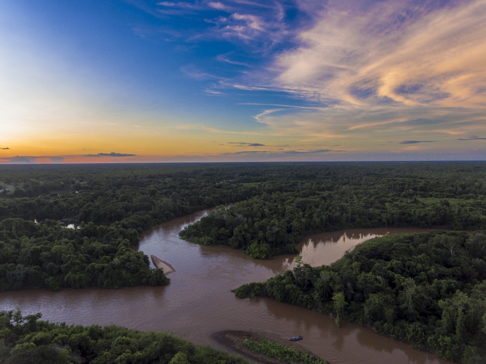 Pantanal é a maior planície alagável do planeta. — Foto: Luiz Mendes/Arquivo Pessoal