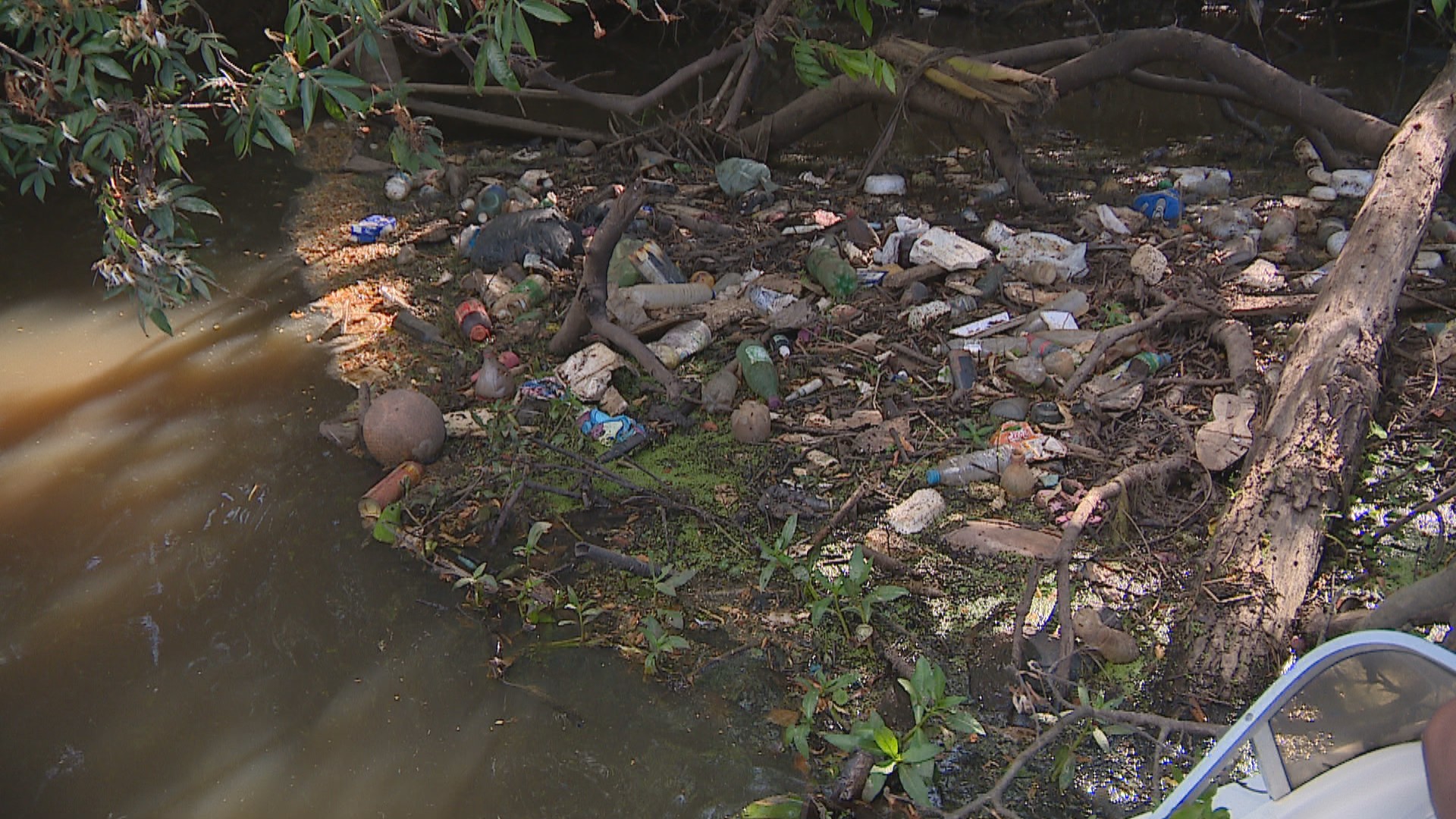 'Ilhas de lixo' voltam a se formar no Rio Gravataí, no RS; especialistas indicam ameaça à fauna do local