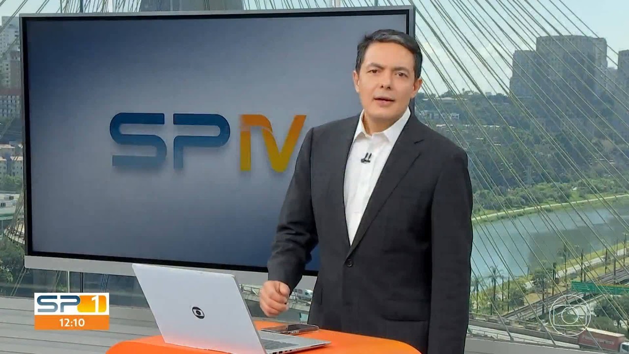 Um sagui é resgatado por dia na cidade de SP, aponta prefeitura