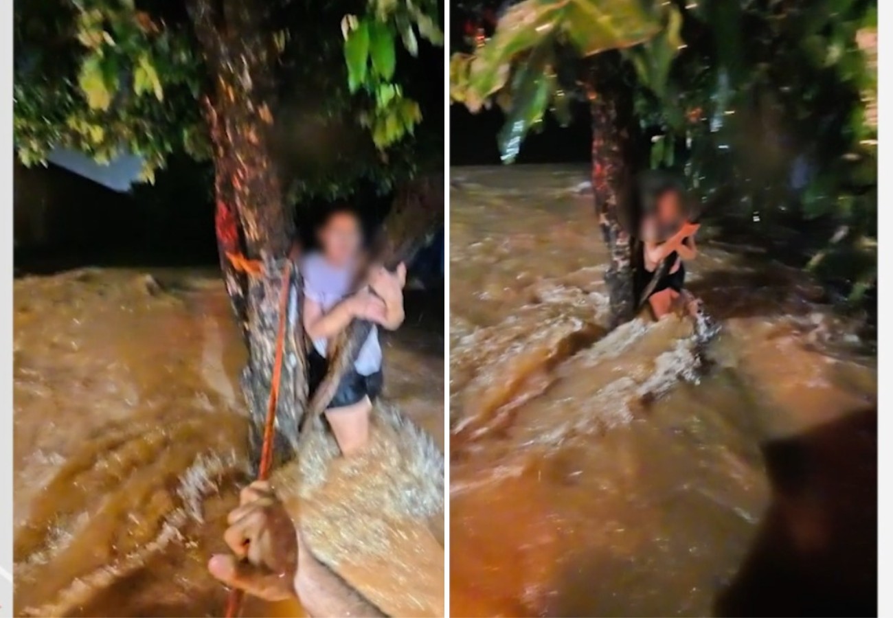 Mulher é resgatada pelo Corpo de Bombeiros após ficar ilhada e se agarrar em árvore no TO; VÍDEO