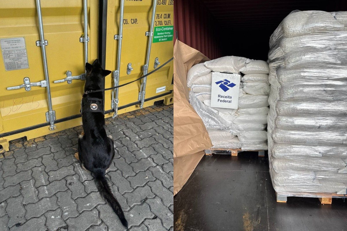 Em 24h, cerca de 600 kg de cocaína são apreendidos em cargas de banana e amendoim no Porto de Santos, SP