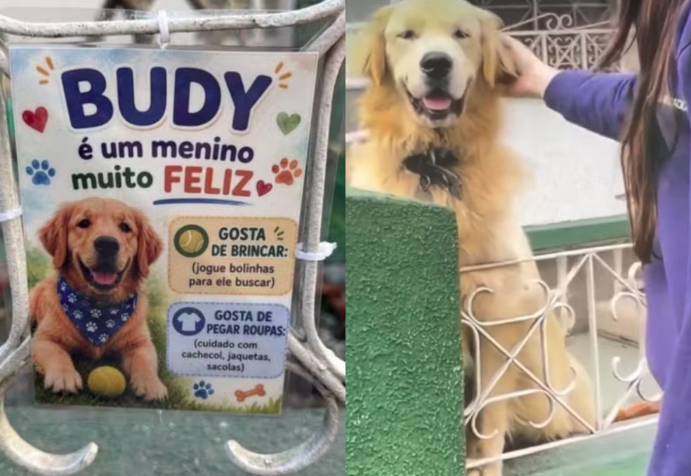 Placa no imóvel em Itajaí incentiva pedestres a interagirem com o cão Budy pelo portão — Foto: Redes sociais/ Reprodução